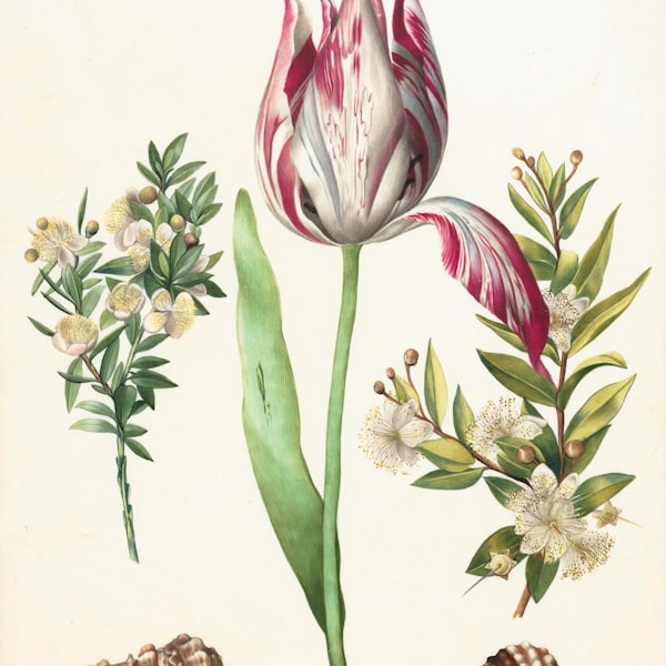 Watercolor Botanicals Set